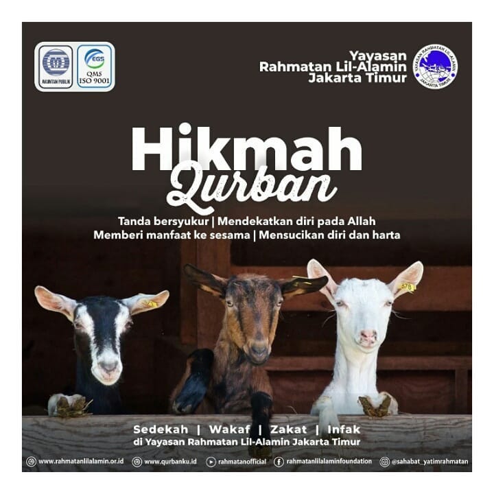 Hikmah Qurban